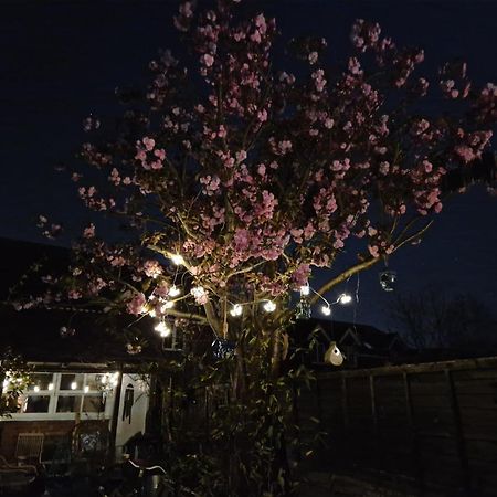 Lotus Pod House Homestay Horsell 외부 사진