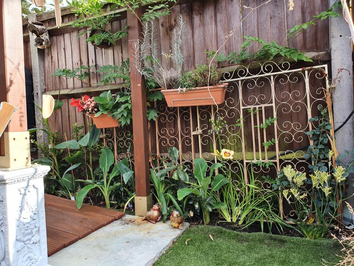 Lotus Pod House Homestay Horsell 외부 사진