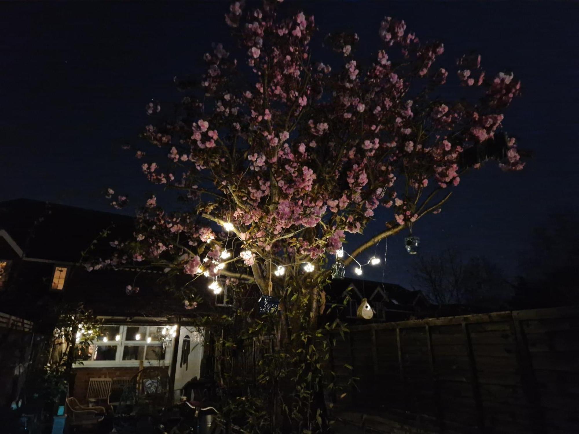 Lotus Pod House Homestay Horsell 외부 사진
