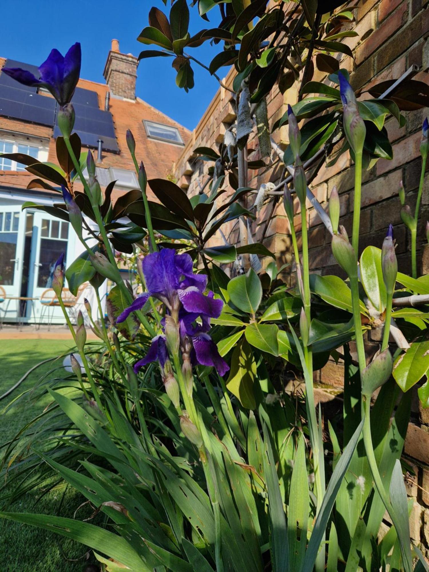 Lotus Pod House Homestay Horsell 외부 사진